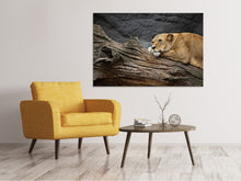 Lade das Bild in den Galerie-Viewer, Leinwandbild Träumende Löwin
