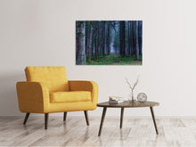 Lade das Bild in den Galerie-Viewer, Leinwandbild Tannen Wald
