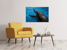 Lade das Bild in den Galerie-Viewer, Leinwandbild Freundlicher Delphin
