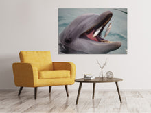 Lade das Bild in den Galerie-Viewer, Leinwandbild Essenszeit für einen Delphin
