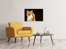 Lade das Bild in den Galerie-Viewer, Leinwandbild Achtung kluge Katze
