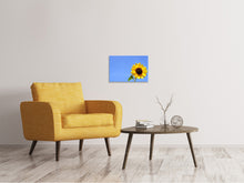 Lade das Bild in den Galerie-Viewer, Leinwandbild Sonnenblume mit blauem Himmel
