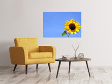 Lade das Bild in den Galerie-Viewer, Leinwandbild Sonnenblume mit blauem Himmel

