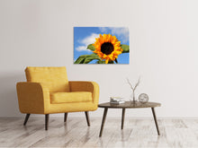 Lade das Bild in den Galerie-Viewer, Leinwandbild Sonnenblume in der Blüte
