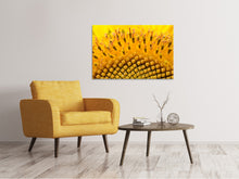 Lade das Bild in den Galerie-Viewer, Leinwandbild Die Knospen der Sonnenblume in XXL
