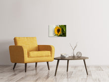 Lade das Bild in den Galerie-Viewer, Leinwandbild Schöne Sonnenblume
