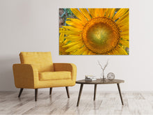 Lade das Bild in den Galerie-Viewer, Leinwandbild Blütenstand einer Sonnenblume
