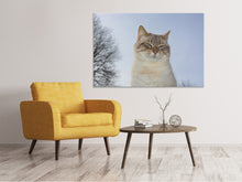 Lade das Bild in den Galerie-Viewer, Leinwandbild Entspannte Katze in der Natur
