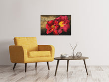 Lade das Bild in den Galerie-Viewer, Leinwandbild Lilien Blüten mit Wassertropfen
