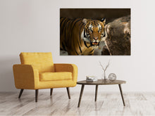 Lade das Bild in den Galerie-Viewer, Leinwandbild Sibirischer Tiger
