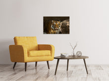 Lade das Bild in den Galerie-Viewer, Leinwandbild Sibirischer Tiger
