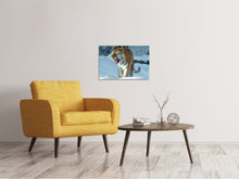 Lade das Bild in den Galerie-Viewer, Leinwandbild Tiger im Schnee
