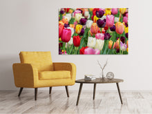 Lade das Bild in den Galerie-Viewer, Leinwandbild Die Farben der Tulpen
