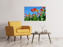 Lade das Bild in den Galerie-Viewer, Leinwandbild Wilde Tulpen
