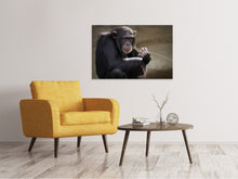 Lade das Bild in den Galerie-Viewer, Leinwandbild Süsser Schimpanse

