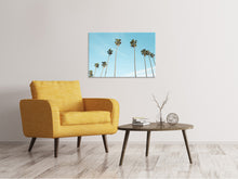 Lade das Bild in den Galerie-Viewer, Leinwandbild Ein Himmel voller Palmen

