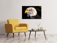 Lade das Bild in den Galerie-Viewer, Leinwandbild Der Adler Kopf
