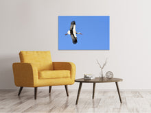 Lade das Bild in den Galerie-Viewer, Leinwandbild Der Storch in Aktion
