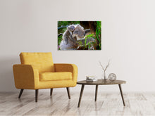 Lade das Bild in den Galerie-Viewer, Leinwandbild Mama und Baby Koala
