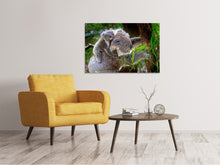 Lade das Bild in den Galerie-Viewer, Leinwandbild Mama und Baby Koala
