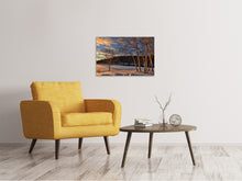 Lade das Bild in den Galerie-Viewer, Leinwandbild Birken im Winter
