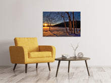 Lade das Bild in den Galerie-Viewer, Leinwandbild Birken im Sonnenuntergang
