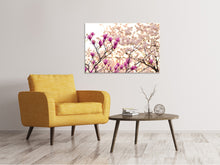 Lade das Bild in den Galerie-Viewer, Leinwandbild Schöne Magnolien XL
