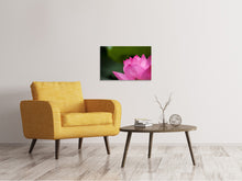 Lade das Bild in den Galerie-Viewer, Leinwandbild Marko Lotus in pink
