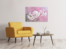Lade das Bild in den Galerie-Viewer, Leinwandbild Kirschblüten XXL
