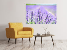 Lade das Bild in den Galerie-Viewer, Leinwandbild Die Lavendelblüte
