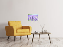 Lade das Bild in den Galerie-Viewer, Leinwandbild Die Lavendelblüte
