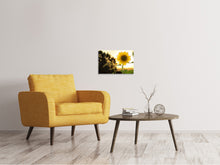 Lade das Bild in den Galerie-Viewer, Leinwandbild Sonnenblume im Sonnenaufgang

