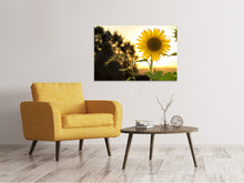 Lade das Bild in den Galerie-Viewer, Leinwandbild Sonnenblume im Sonnenaufgang
