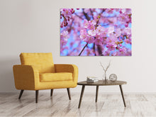 Lade das Bild in den Galerie-Viewer, Leinwandbild Prächtige Kirschblüte
