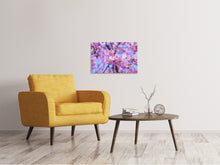 Lade das Bild in den Galerie-Viewer, Leinwandbild Prächtige Kirschblüte
