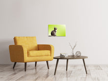 Lade das Bild in den Galerie-Viewer, Leinwandbild Pop Art Katze XL
