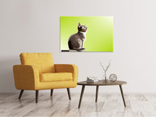 Lade das Bild in den Galerie-Viewer, Leinwandbild Pop Art Katze XL

