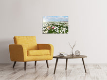Lade das Bild in den Galerie-Viewer, Leinwandbild Die Frühlingsblumenwiese

