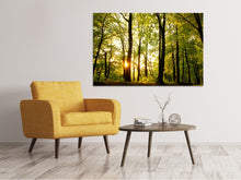 Lade das Bild in den Galerie-Viewer, Leinwandbild Sonnenuntergang zwischen den Bäumen
