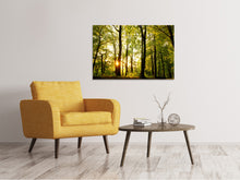Lade das Bild in den Galerie-Viewer, Leinwandbild Sonnenuntergang zwischen den Bäumen
