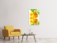 Lade das Bild in den Galerie-Viewer, Leinwandbild Fliessende Orchideenblüte
