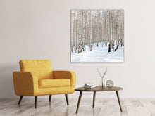 Lade das Bild in den Galerie-Viewer, Leinwandbild Birkenwald-Spuren im Schnee
