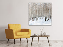 Lade das Bild in den Galerie-Viewer, Leinwandbild Birkenwald-Spuren im Schnee
