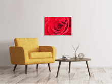Lade das Bild in den Galerie-Viewer, Leinwandbild Rote Rose im Morgentau
