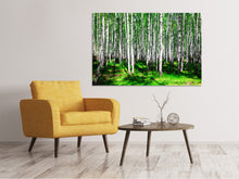 Lade das Bild in den Galerie-Viewer, Leinwandbild Sommerlicher Birkenwald
