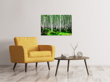 Lade das Bild in den Galerie-Viewer, Leinwandbild Sommerlicher Birkenwald
