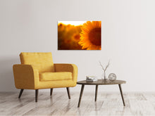 Lade das Bild in den Galerie-Viewer, Leinwandbild Macro-Sonnenblume
