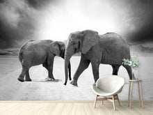 Lade das Bild in den Galerie-Viewer, Fototapete 2 Elefanten sw
