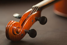 Lade das Bild in den Galerie-Viewer, Fototapete Close up Geige
