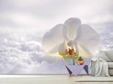 Lade das Bild in den Galerie-Viewer, Fototapete Die Orchideen Blüte
